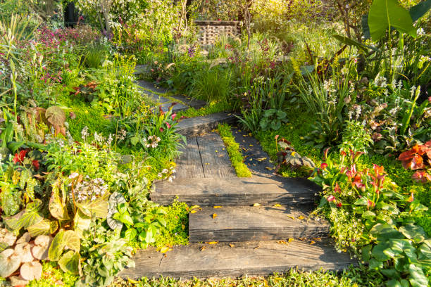 Wooden path leading through a garden