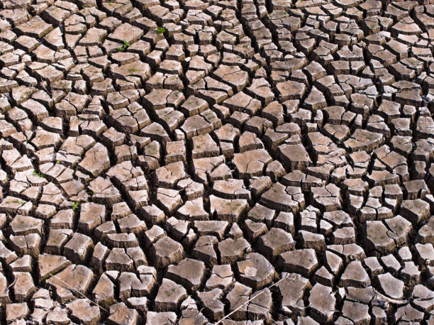 Cracked dry earth or mud environmental background texture pattern conceptual of drought and natural disaster