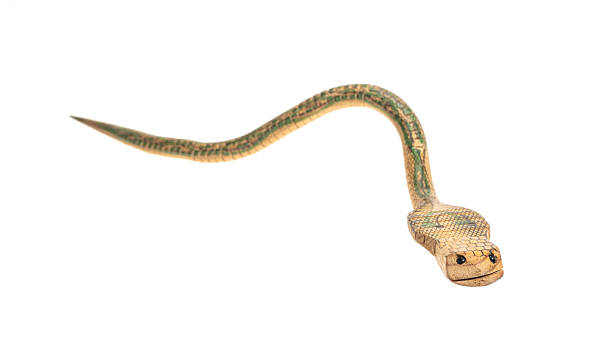 istock wooden snake asian toy isolated over a white background 2201405828
