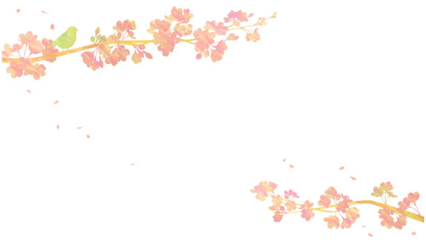 istock Collage illustration of a cherry blossom tree and a small bird. Material for spring backgrounds. 2201421525