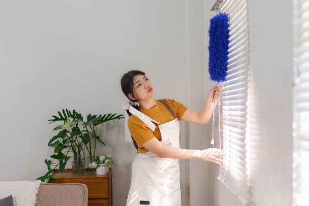 istock Asian housemaid dusting window blinds in a bright living room using a feather duster 2201428920