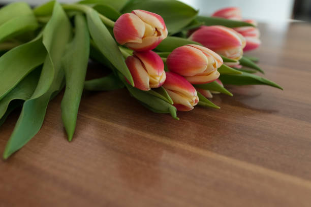 istock pink tulips on a wooden background, space for text 2201434971