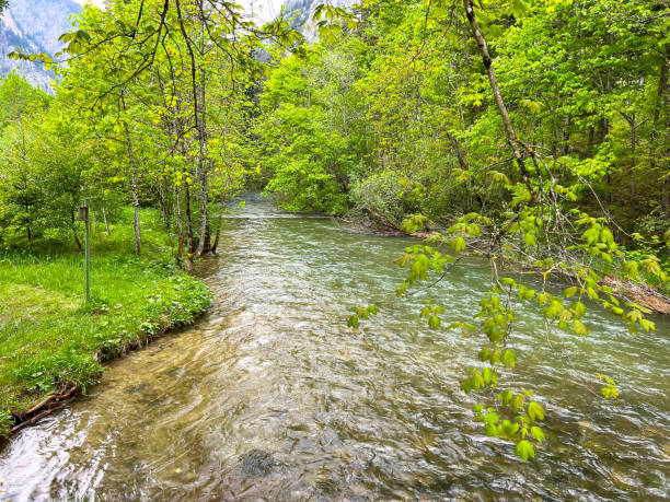 istock View of a rapid mountain river filled with water from melting snow 2201435216