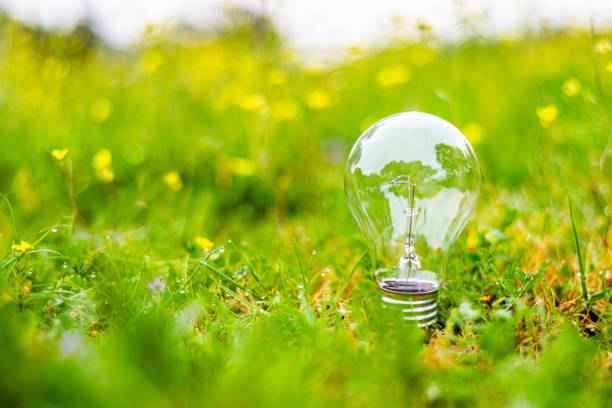 istock Light bulb rests in lush green grass reflecting trees, symbolizing renewable energy, environmental conservation, and sustainable practices for a greener future 2201437464