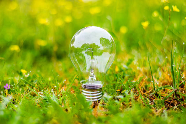 istock Light bulb standing on green grass in a field with yellow flowers and dew drops, representing the concept of renewable energy and environmental conservation 2201437466