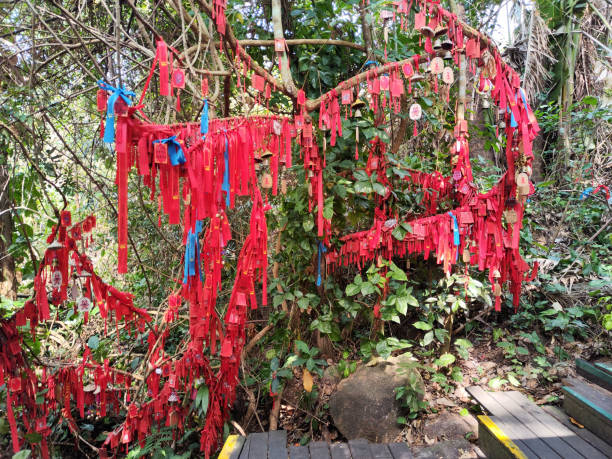 istock Plaques with red ribbons, Yanoda rainforest, Hainan, China 2201440892