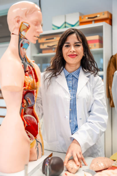 istock Medical student studying human anatomy with anatomical model in university lab 2201440949