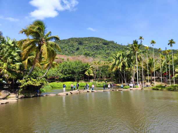 Tourists sightseeing around a lake in Yanoda, a rainforest in Baoting Li and Miao Autonomous County, Hainan, China. The rainforest is a major tourist attraction.