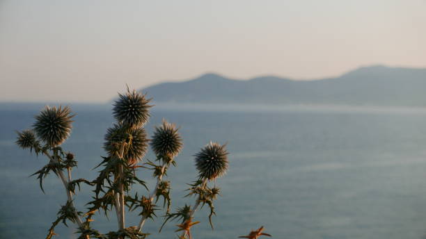 The Greek island of Samos