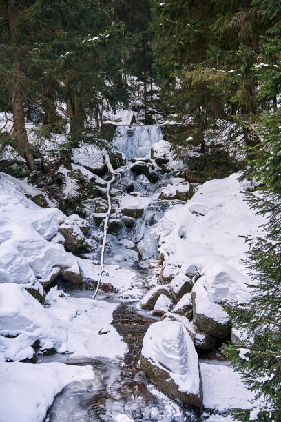istock waterfall on frozen stream in coniferous forest in winter in Karkonosze mountains 2201450260