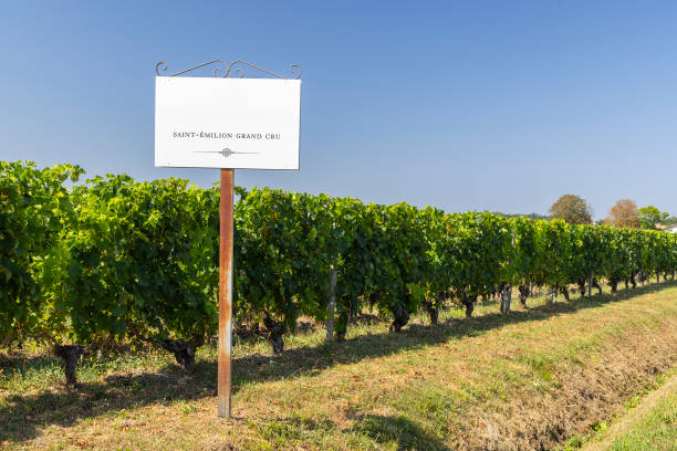 istock Typical vineyards with information board Grand Cru Classe near Saint-Emilion, Bordeaux, Aquitaine, France 2201451407