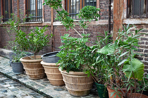 istock A small garden in the city 2201454771