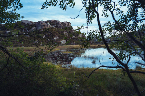 Placid pond landscape during the nordic summer in Bergen, Norway
