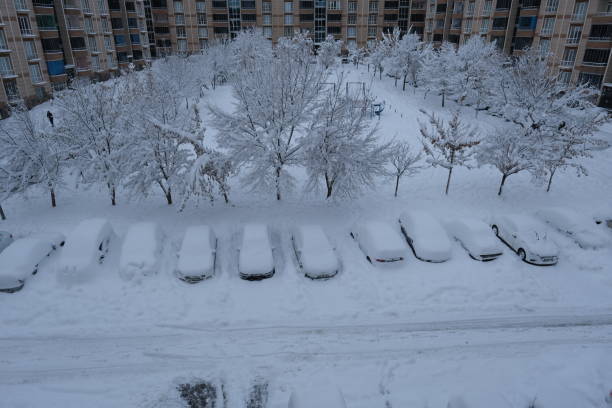 Cold weather and heavy snowfall make it difficult for citizens to go out. In addition to posing a risk for the elderly and those with chronic diseases, frozen cars also cause water and power outages.