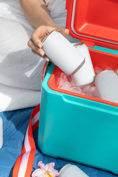 istock Woman holding beverage can with copy space over thermos box 2201461237
