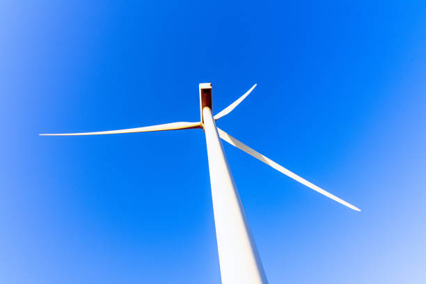 Wind turbine in barren landscape in morning light