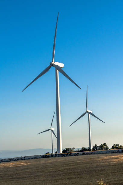 Three wind turbines stand in a rural field under a clear blue sky, generating renewable electricity. Clean technology for sustainable energy production.