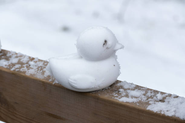 Snow duck on the wooden fence