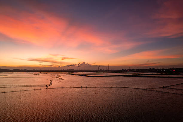 istock Tidal flat aquaculture pond under the red sunset 2201468022