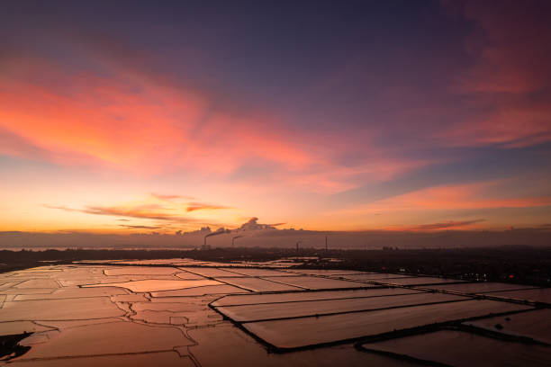 istock Tidal flat aquaculture pond under the red sunset 2201473124