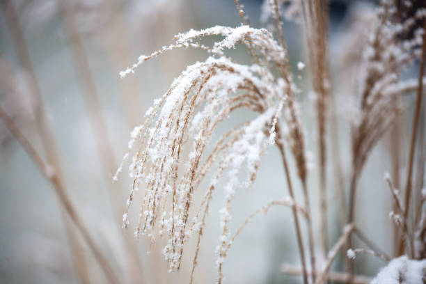 istock Heavy winter first snow in the street 2201474828