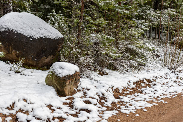 istock winter landscape with forest, magical snow-covered trees, snow-covered stones, gorgeous winter day 2201479151