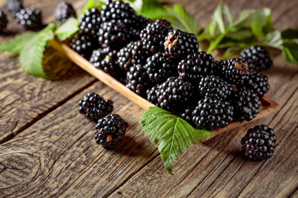 istock Frash blackberries with leaves on a wooden table. 2201480008