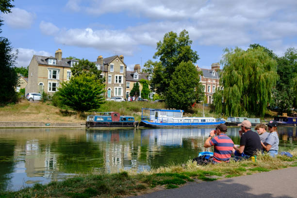 A beautiful scenic view of green trees alongside a river under a blue sky