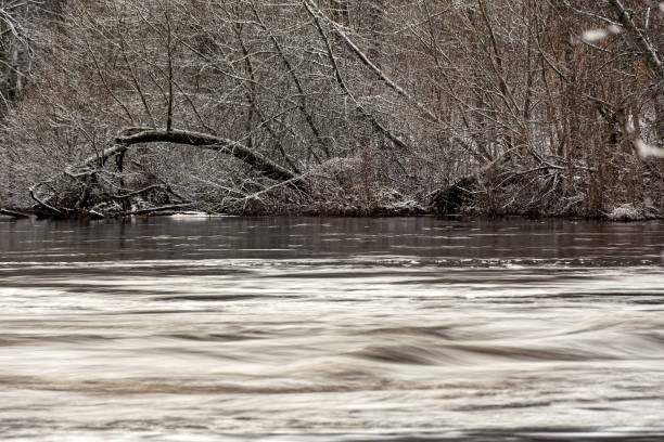 winter landscape with rapid river flow, blurred water surface, blurred movement, rapid stream of wild river, Salaca near Staicele, Latvia, winter
