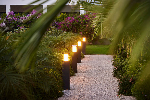 istock Lighting in a tropical city. Southern plants. 2201481196