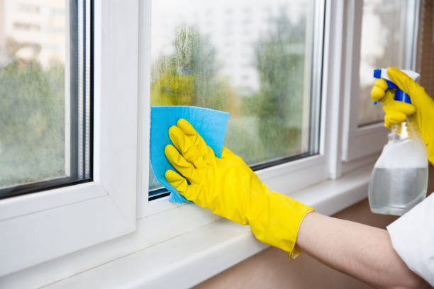 istock Cleaning A Window With A Spray Bottle And Sponge Cloth 2201483155
