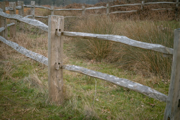 istock Richmond Park. Rustic Wooden Fence in a Countryside Setting 2201483184