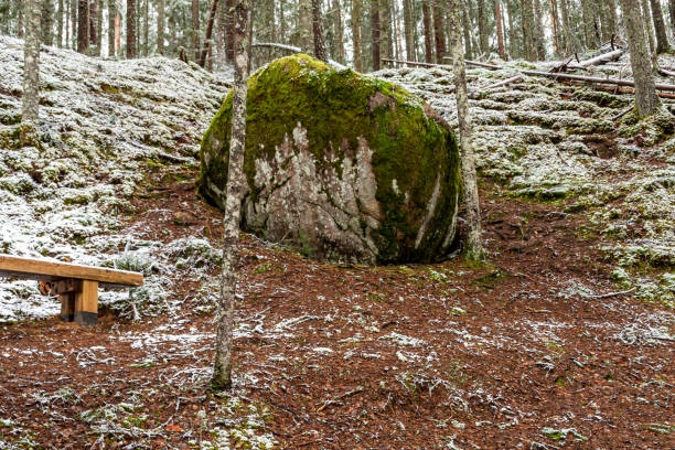 istock winter landscape with forest, magical snow-covered trees, snow-covered stones, gorgeous winter day 2201484514