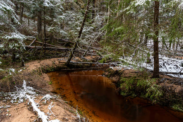 istock winter landscape with forest, magical snow-covered trees, small, wild river with many bends, many fallen trees over the river 2201484781