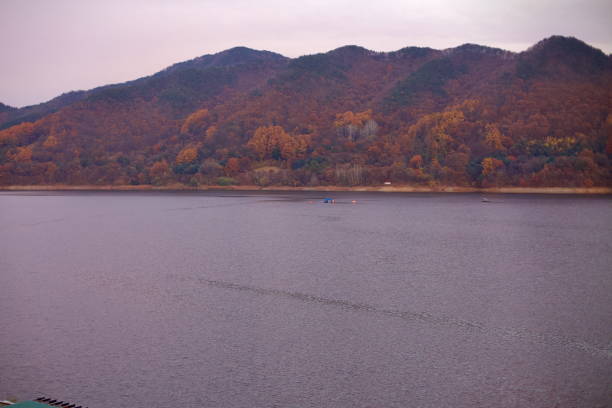 Daejeon, South Korea - November 12, 2020: A calm view of Daecheong Lake with autumn foliage covering the surrounding mountains. A small floating platform is seen in the distance on the reservoir's surface.