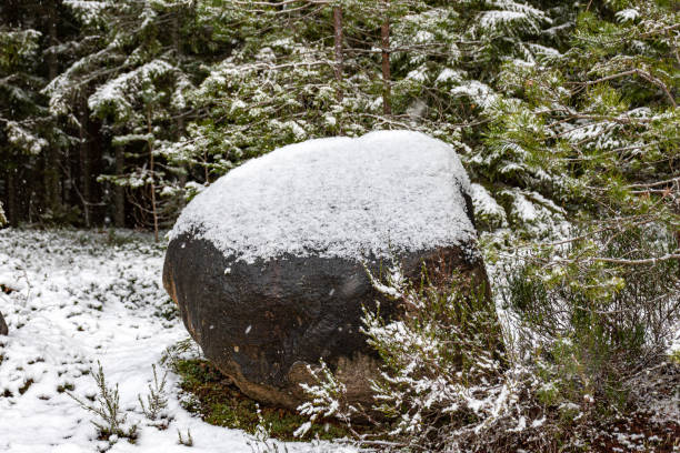 istock winter landscape with forest, magical snow-covered trees, snow-covered stones, gorgeous winter day 2201485750