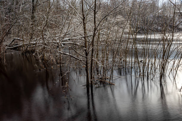 istock winter landscape with rapid river flow, blurred water surface, blurred movement, rapid stream of wild river, Salaca near Staicele, Latvia 2201486420