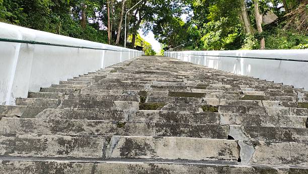istock the steps are fenced off by a wall - the steps are under the trees 2201487783