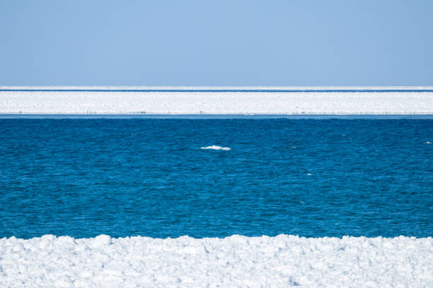 Scenic Algoma Harbor on Lake Michigan ice covered in January, pier and Lighthouse in distance.