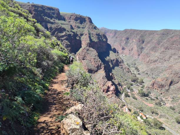 istock Hiking in Guayadeque, Gran Canaria 2201492002