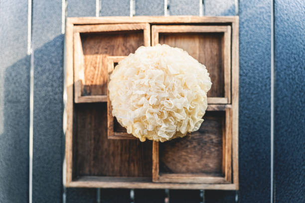 Tremella in a wooden box macrophotography