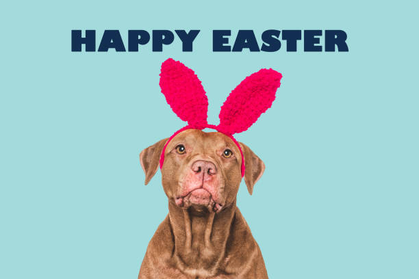istock Happy Easter. Cute dog and congratulatory inscription 2201494482