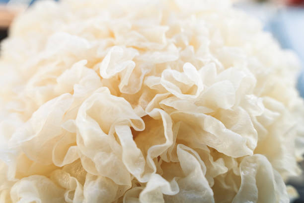 Tremella in a wooden box macrophotography