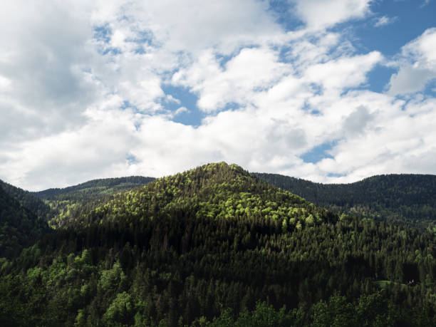 A breathtaking view of a mountain covered in dense green forest under a partly cloudy sky. Sunlight highlights the treetops, creating a contrast between light and shadow in the natural landscape.