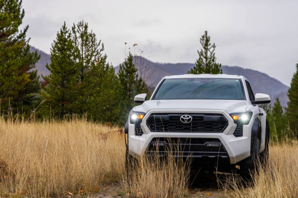White 2024 Toyota Tacoma TRD Off-Road Parked in Rainy Forest BC, Canada - October 26, 2024: A white 2024 Toyota Tacoma TRD Off-Road parked amidst wet grass in a scenic, rainy forest setting. truck in rain stock pictures, royalty-free photos & images