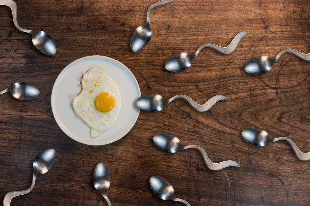 Concept of sperm swimming toward the egg