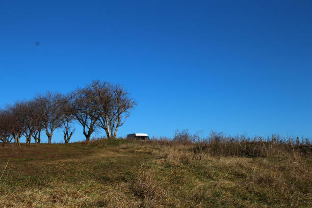 A grassy field with a building in the background. Grass. Outdoor. Sky. Field. Grassy