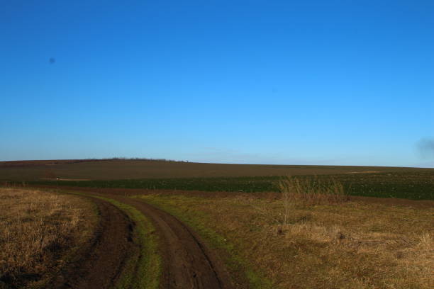beautiful summer landscape, green field and blue sky, meadow grass, trees in horizon, white clouds, country road, sunny day, travel and nature concept