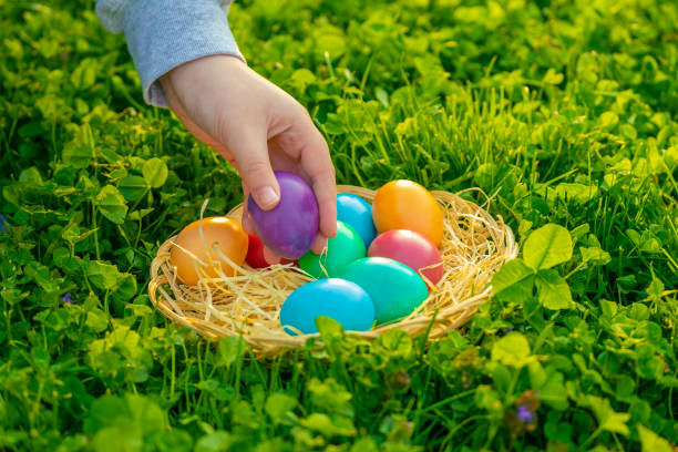 istock Easter Egg Hunt.Finding and collecting colorful Easter eggs. Basket of Easter eggs in green clover in the sun.Catholic and Christian tradition. Wicker basket with straw and Easter eggs in spring garden 2201513537