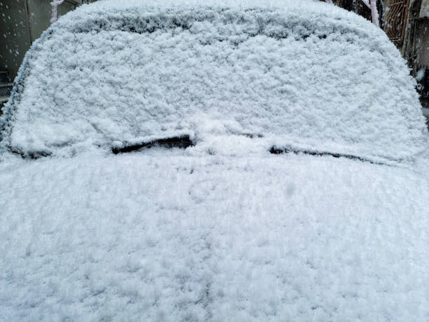 Close-up of snow-covered car